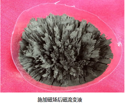 1720060056152077.png 1595559770707370.png